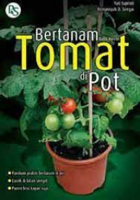 Bertanam Tomat di Pot Edisi Revisi